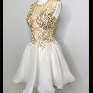 Custom made Mini mesh pouf dress